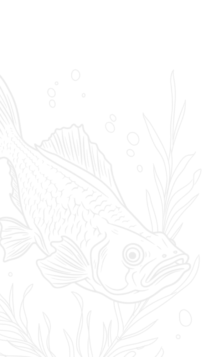 fish-banner